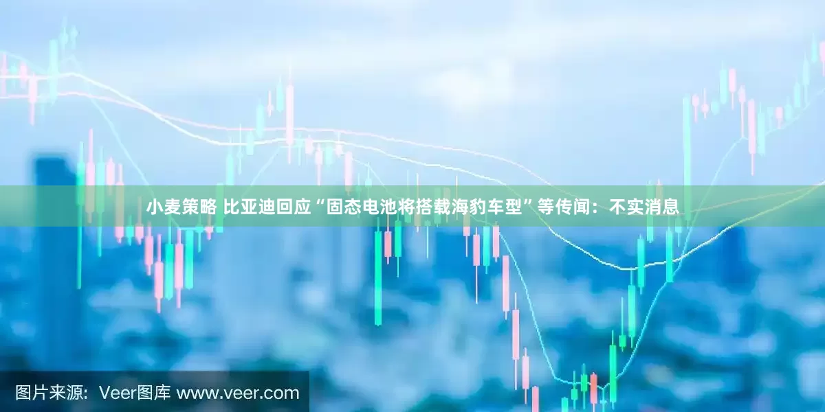 小麦策略 比亚迪回应“固态电池将搭载海豹车型”等传闻：不实消息